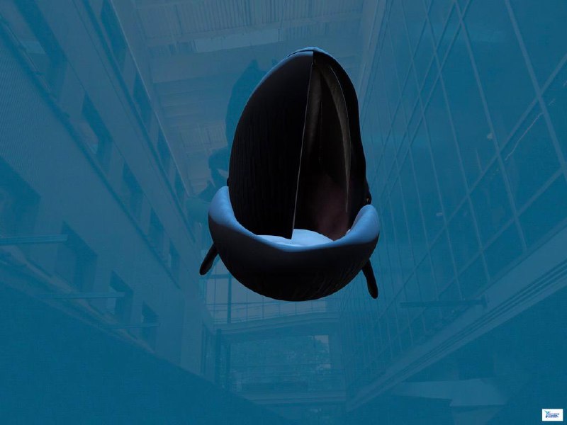 AR Whale