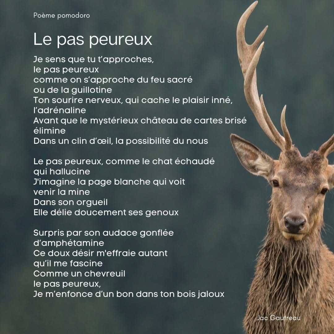 Poem from 2020-11-05