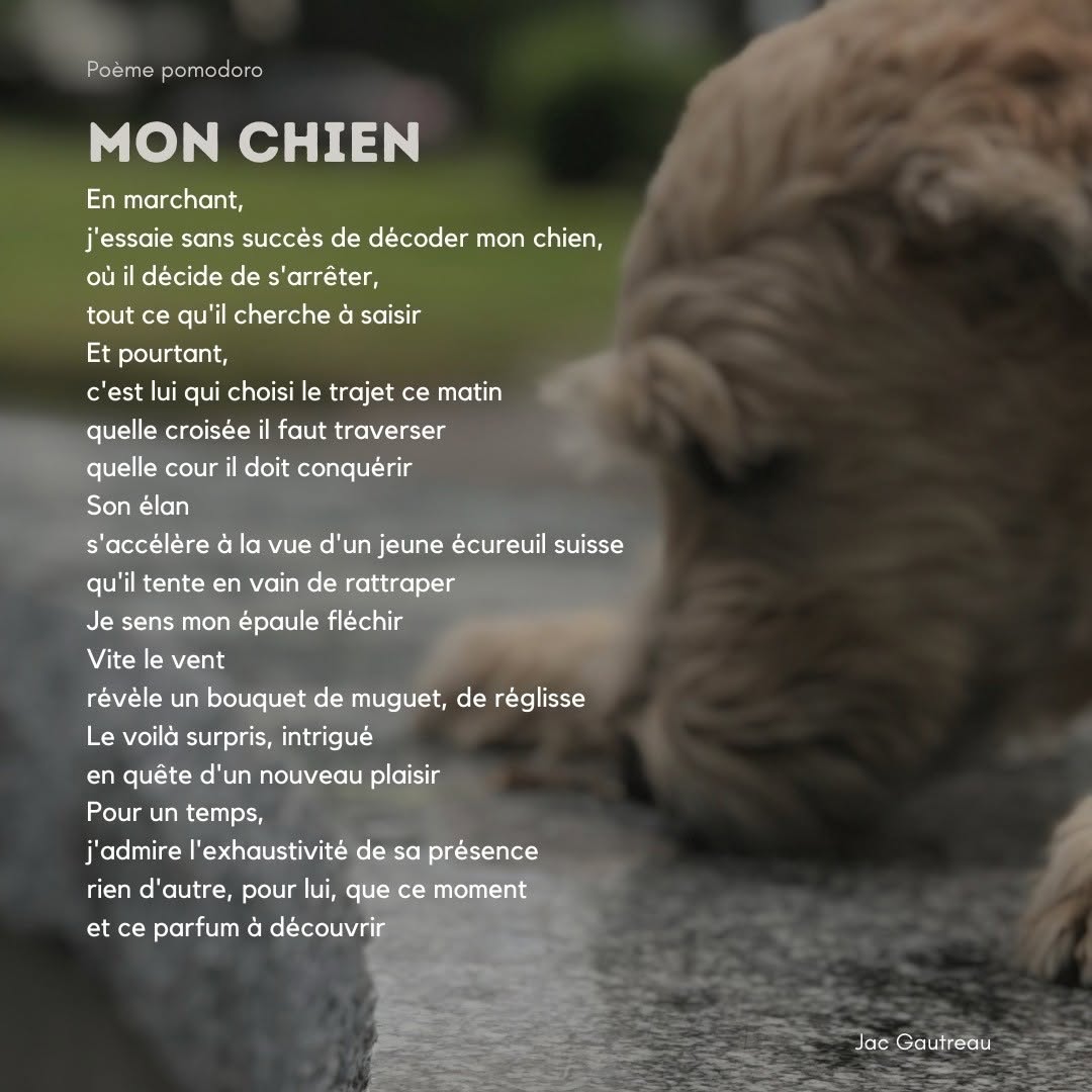 Poem from 2020-11-13