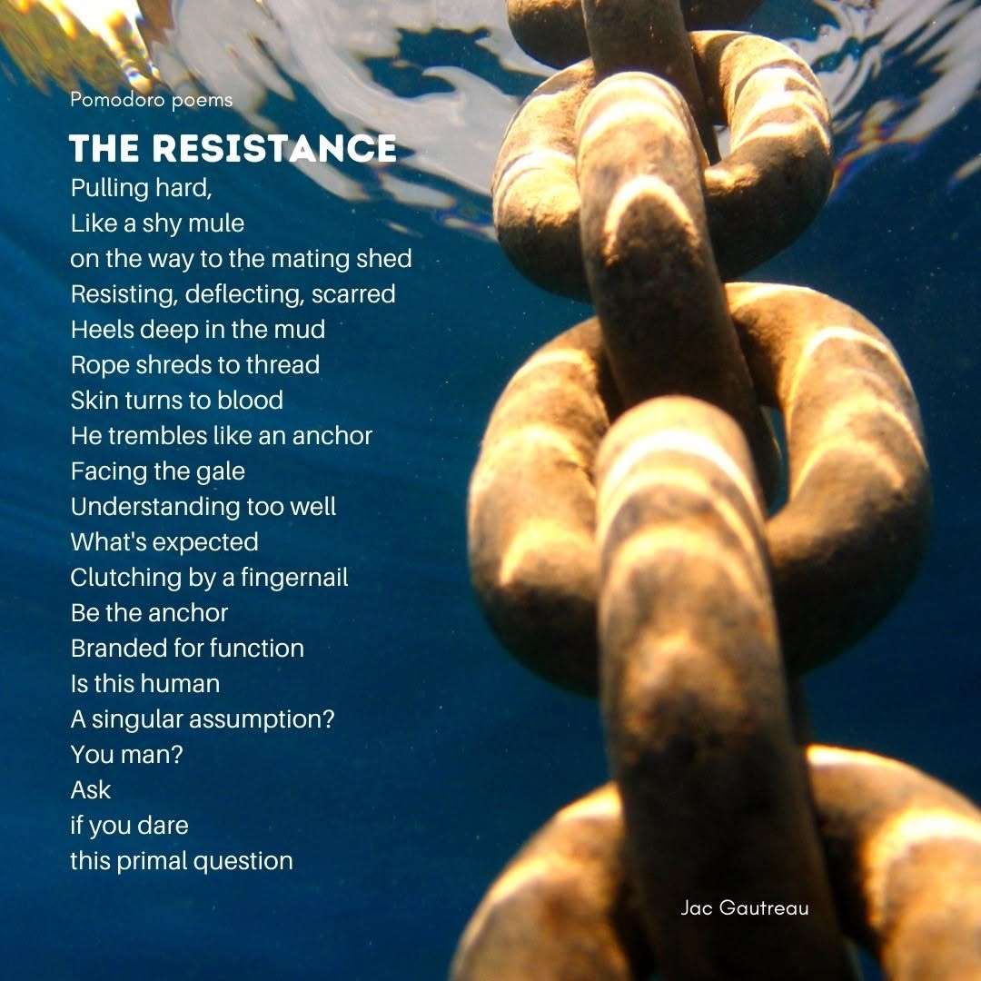 Poem from 2020-11-30