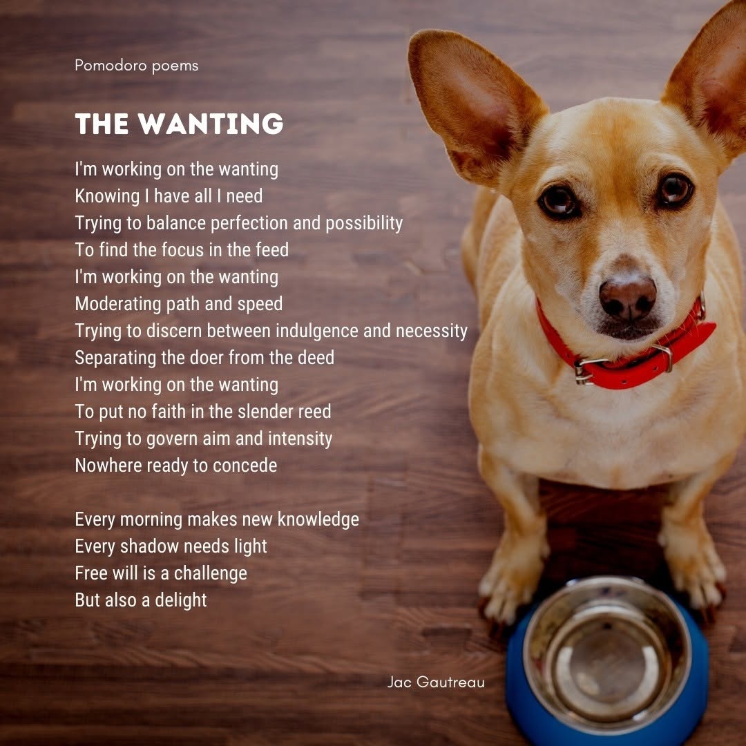 Poem from 2021-01-31