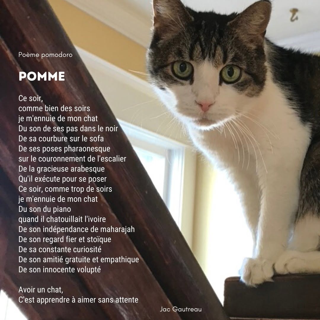 Poem from 2021-02-03