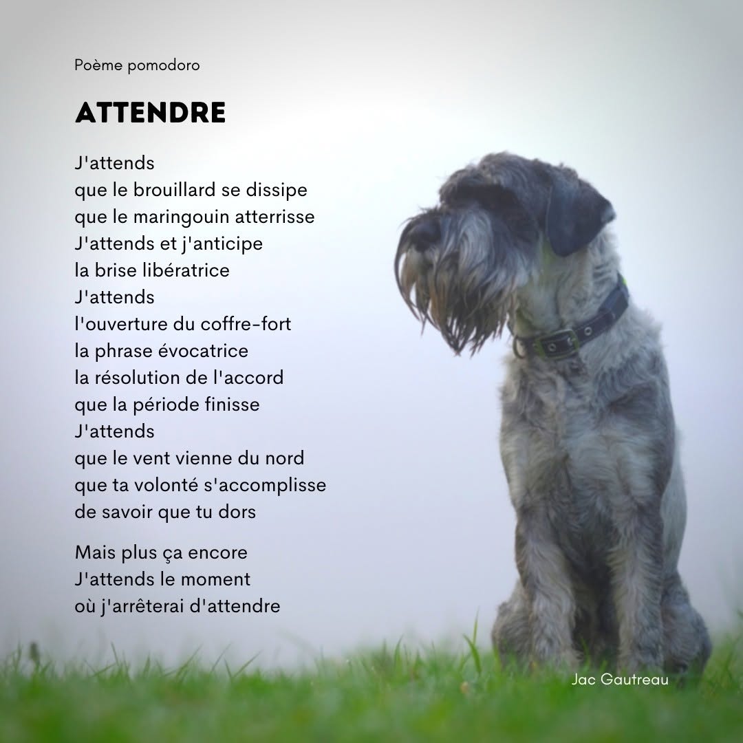 Poem from 2021-05-26