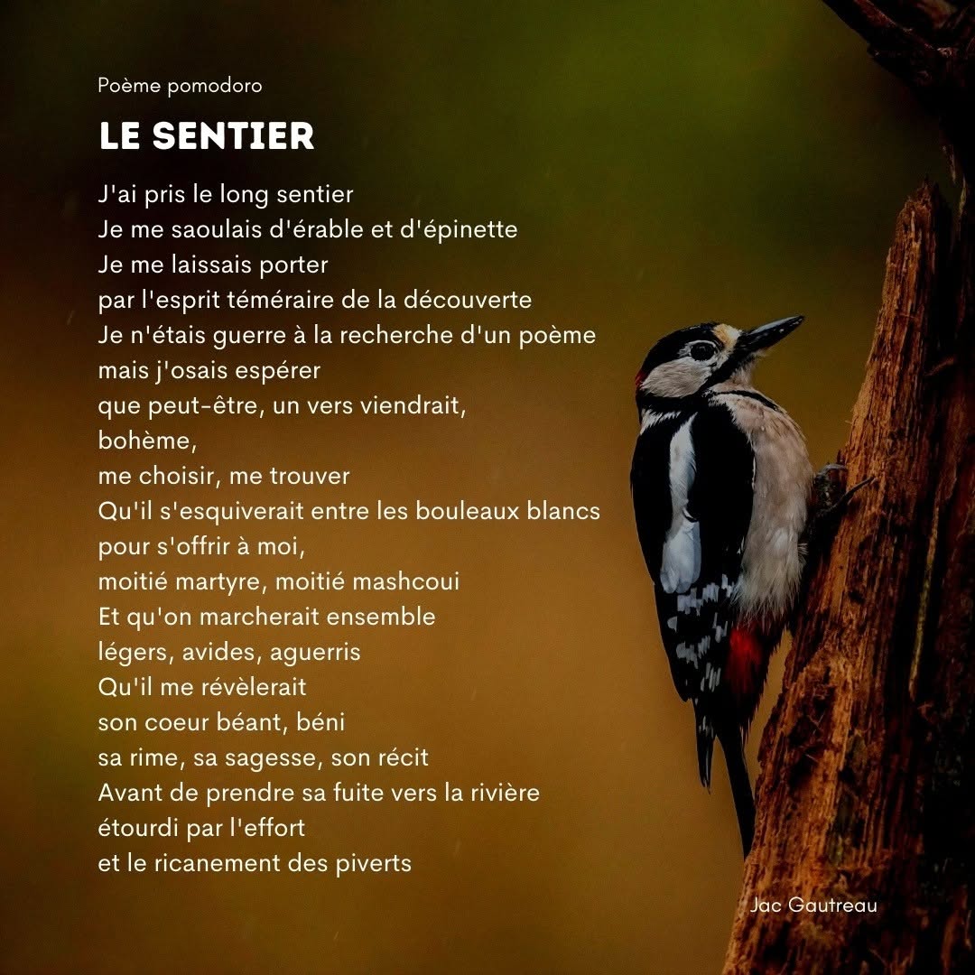 Poem from 2021-06-03