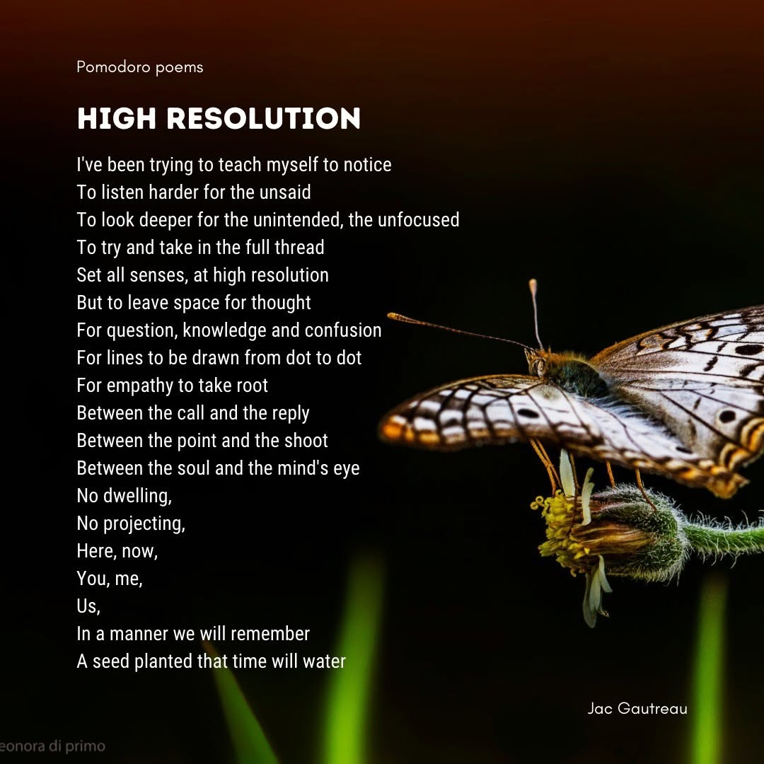 Poem from 2021-07-04