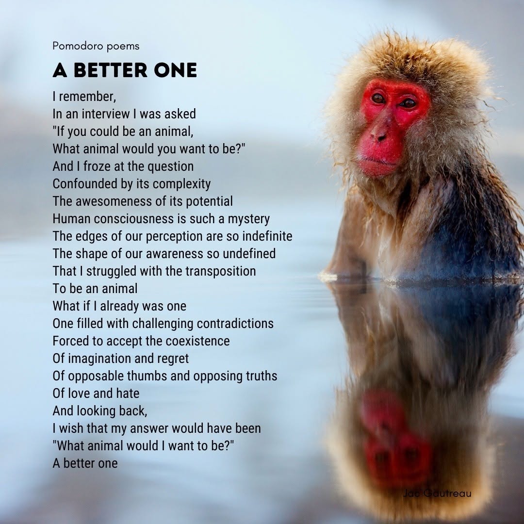 Poem from 2021-07-24