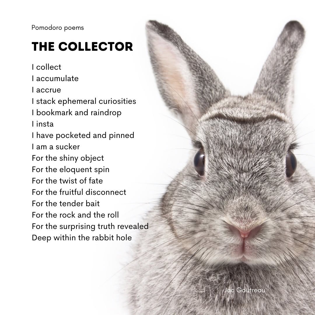 Poem from 2021-08-17